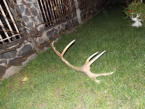 Taky slabsi 18 torak :D