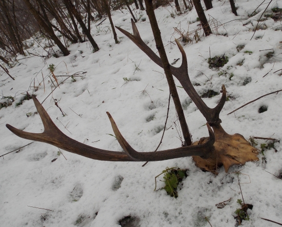 či prší,či nie ja idem von !!!