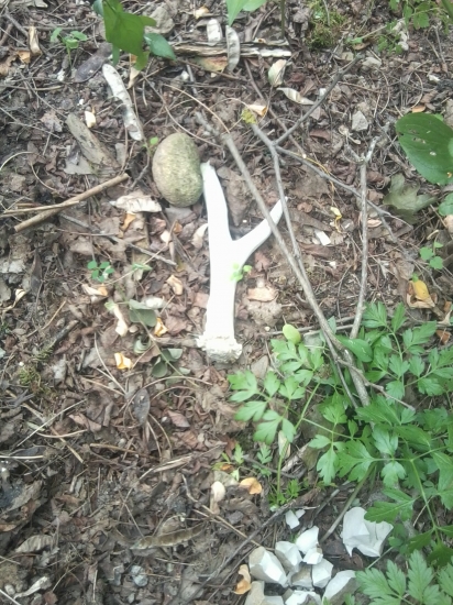 Aha!!! no čo tam leží ????