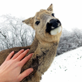 Prvý dotyk človeka