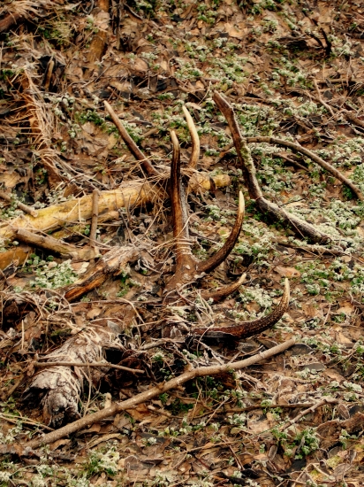 Ako na nový rok, tak po celý rok :D