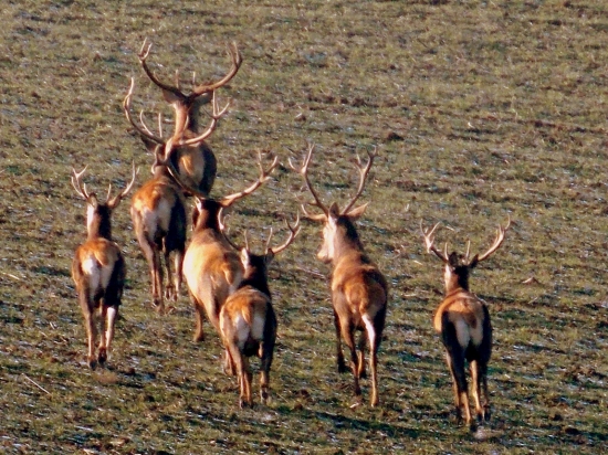 Aspoň na jar môžem niečo zbierať