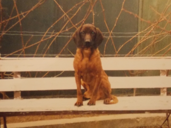 Rikino-Nikdy na teba nezabudneme :((((