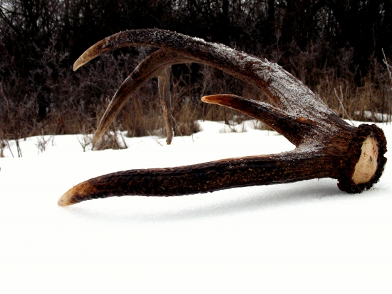 Starcek uz zhodil.....