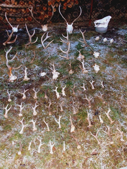 2012 sezona zakončená