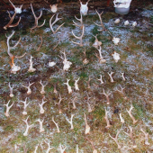 2012 sezona zakončená