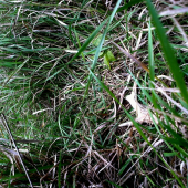 Sťastie na cestičke