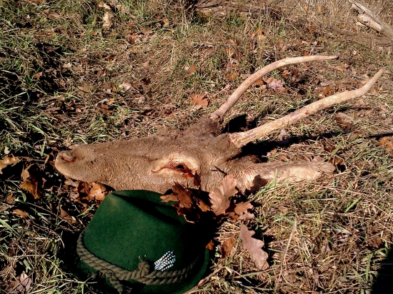 Smutný koniec chovnačika 2