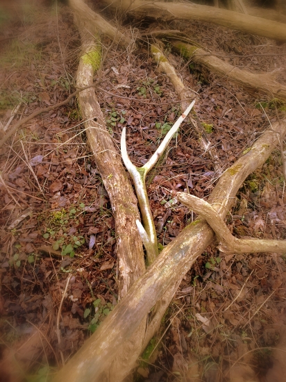 Kto si malé neúcti,nech velké nečaká !