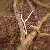 Kto si malé neúcti,nech velké nečaká !