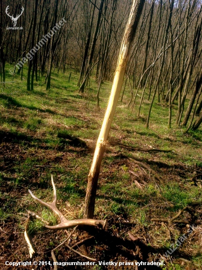 ...čerstvý...