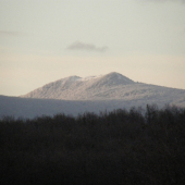 Vihorlat