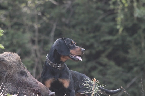 Jak je spokojená :)