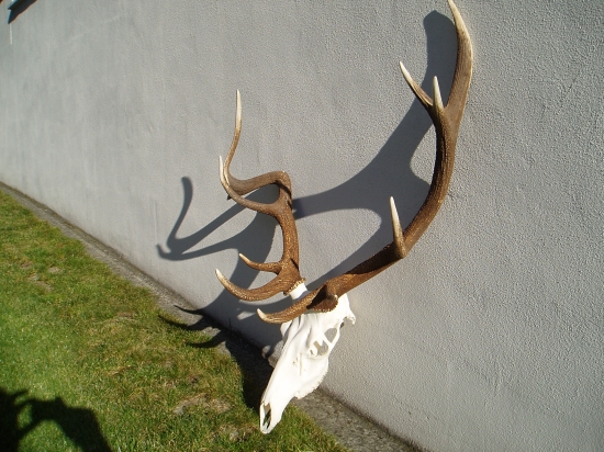 Detail k ID 218072
