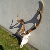 Detail k ID 218072