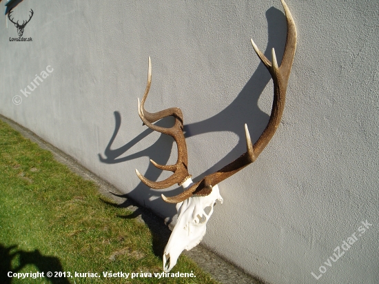 Detail k ID 218072