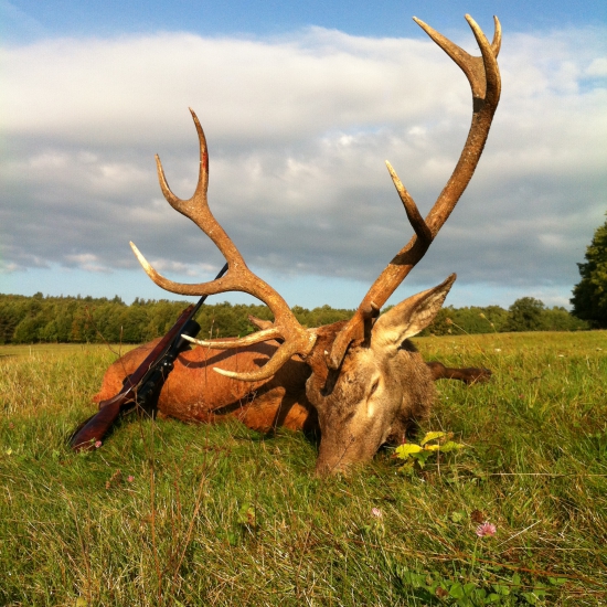 Na 13. vychádzke ...