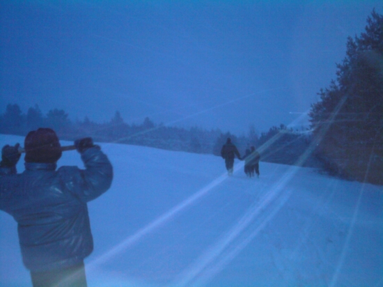 trojkráľova metelica