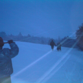 trojkráľova metelica