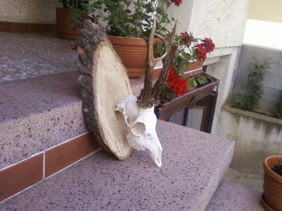 uhyn alebo nedohladavka?