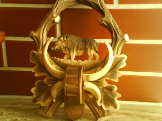 moja trofej z prveho diviaka 2008