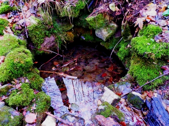 Studánka