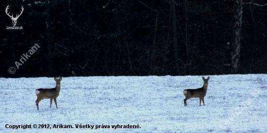 Na večer