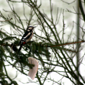 Mám si dát nebo ne?