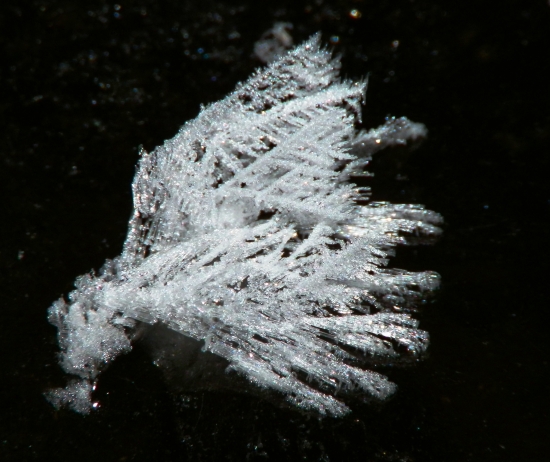 Detail