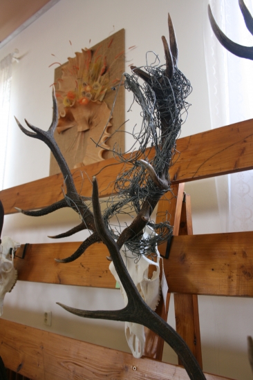 Přehlídka trofejí Žárovice ČR