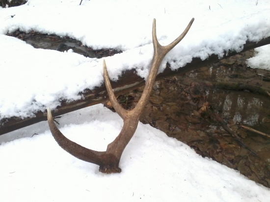 Dnešní nález mého přítele