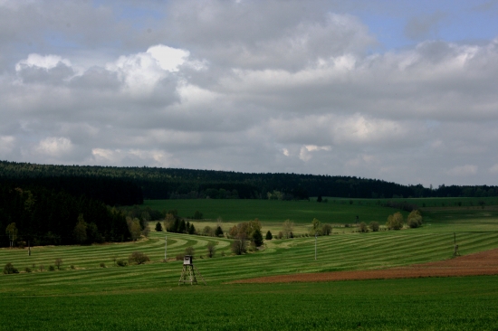 Jarní krajina