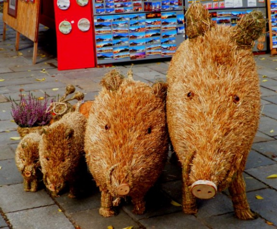 Stačí si jen vybrat  :)