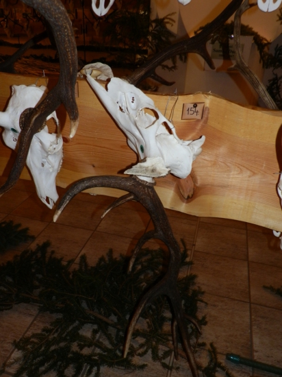 Chovatelská přehlídka trofejí Myjava