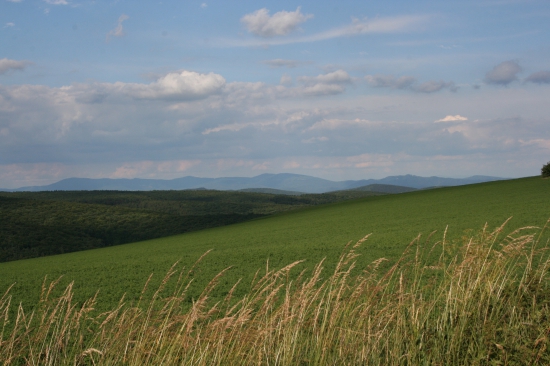 Krajina