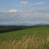 Krajina