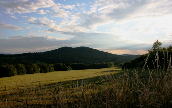 Podvečerní