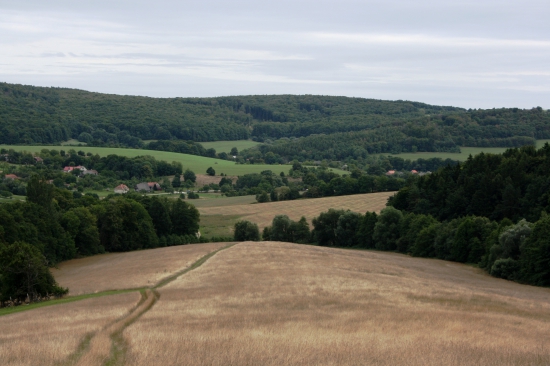 Pohled do údolí