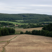 Pohled do údolí