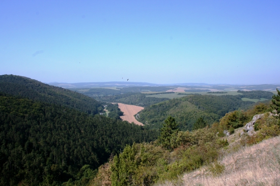 Pohled do údolí