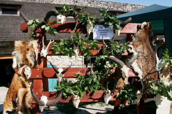 Polovnický den na Čachtickém hradě