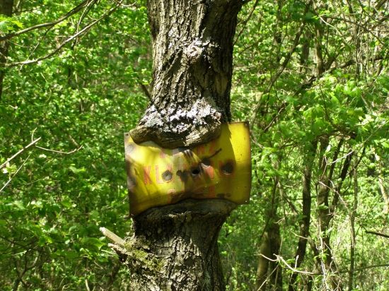 Příroda si poradí.