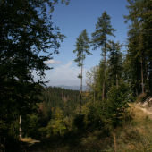 Kysucke toulky