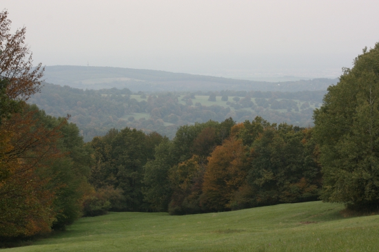 Hraniční louka