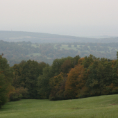 Hraniční louka