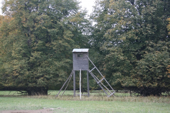 Na hraničních loukách.