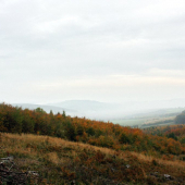 Daňčí  ráj II.