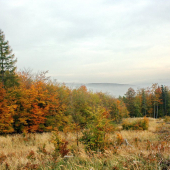 Daňčí  ráj III.