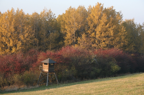 Na hraničních loukách.