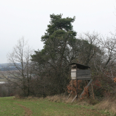 Pod Poliankou